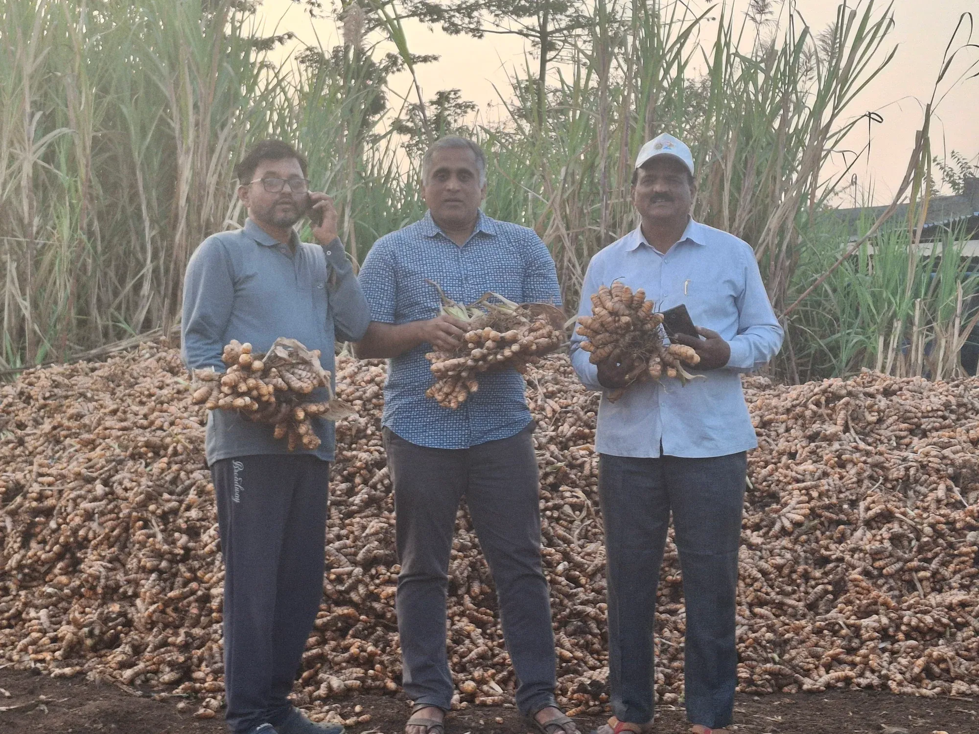 Three men standing behind a large heap of freshly harvested turmeric at the field edge