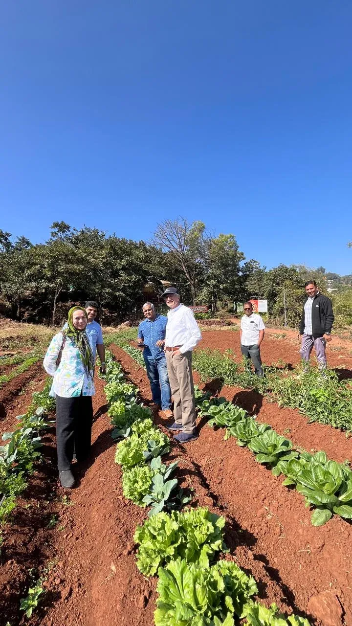 Visitors standing among lettuce and cabbage rows in red-soil beds on a hill farm, clear blue sky