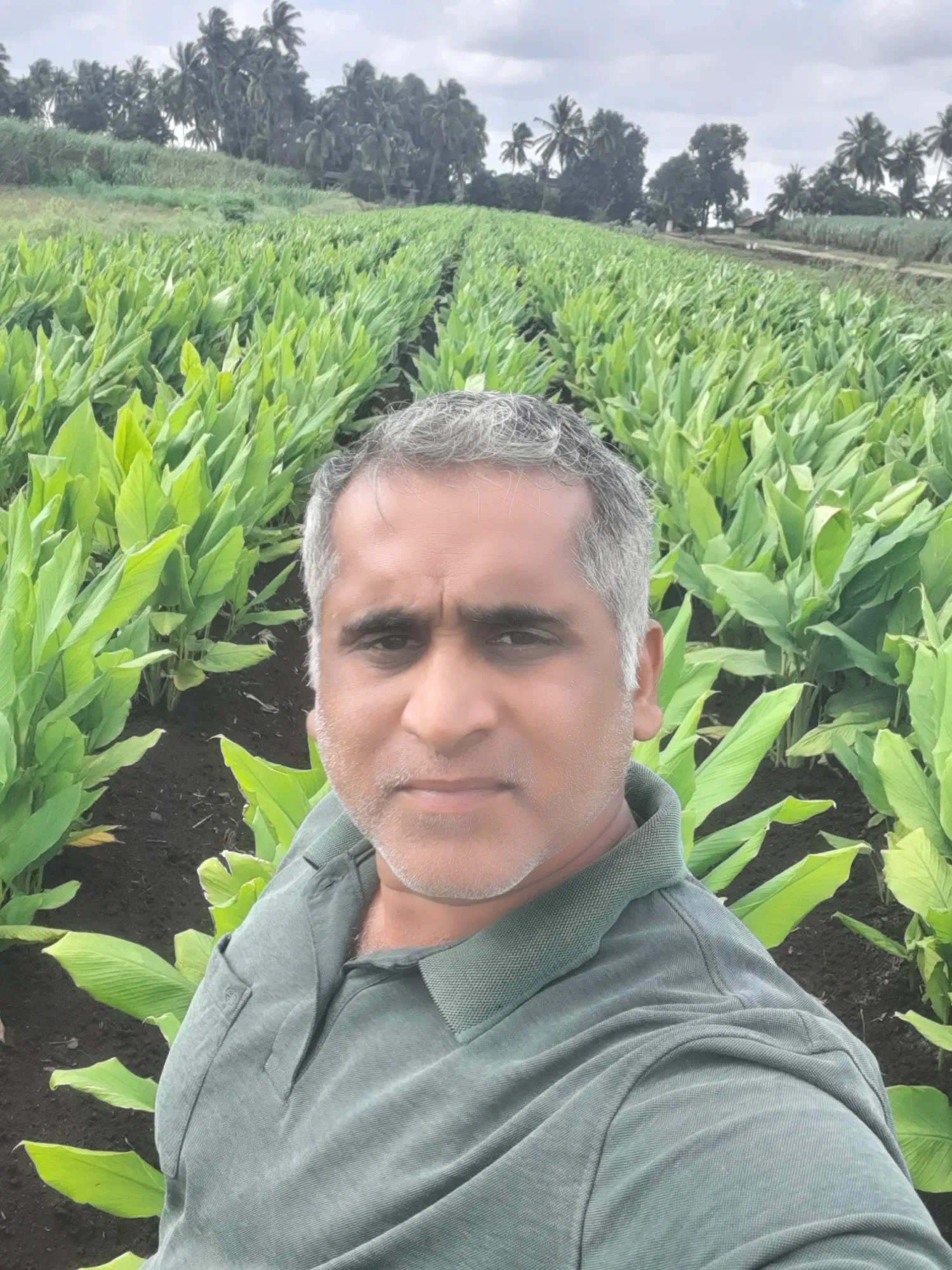 A man standing in the family plantation, broad-leafed turmeric rows behind him