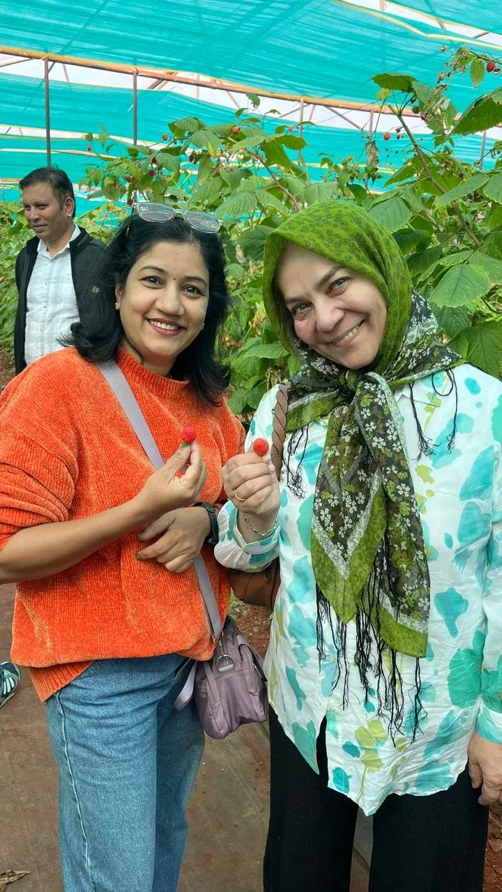 Two women holding just-picked raspberries to camera under a blue-netted polytunnel