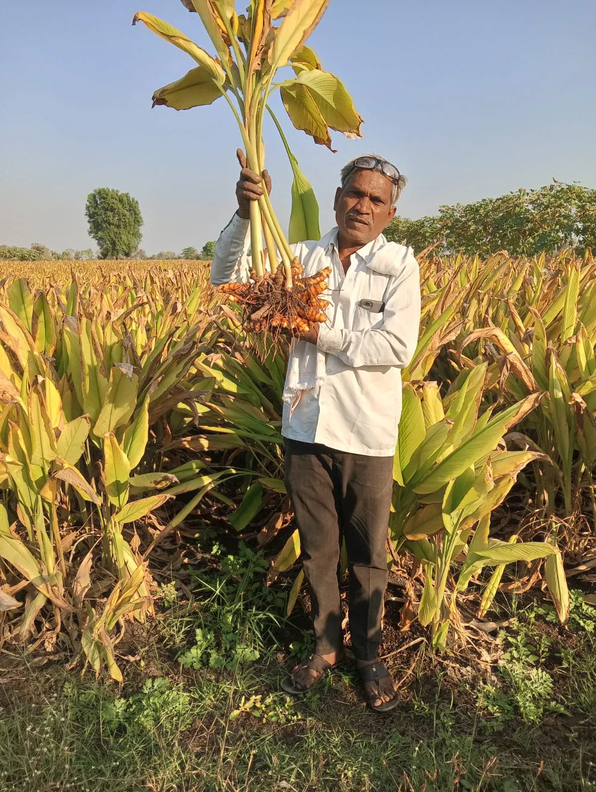 A turmeric farmer near Nanded standing beside containers of organic fertiliser