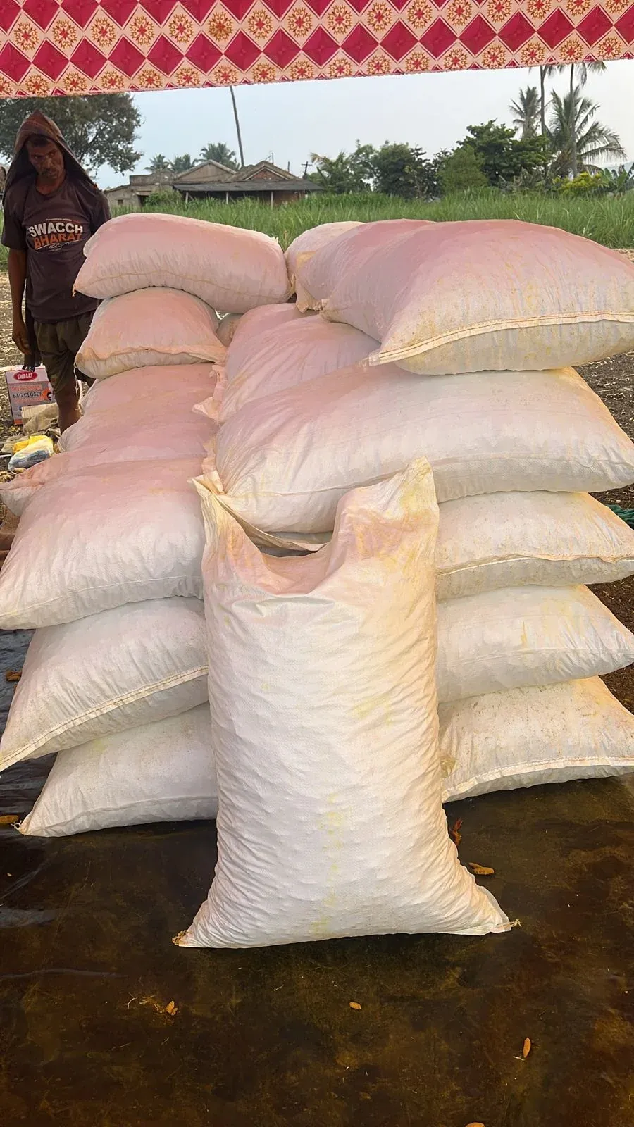 Filled and stitched sacks stacked under a canopy at the farm