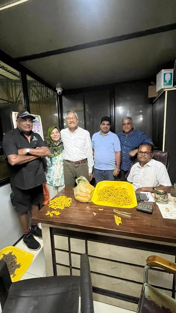 Six people around a desk at night grading dried turmeric fingers laid out on a yellow tray